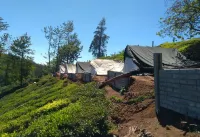 Janardan Tea Resort - Campsite Hotel a Balacola