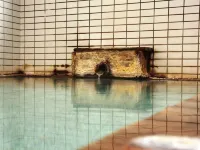 Pension Raisin