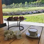 Agritur Verderame Hotels in Pergine Valsugana