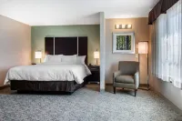 Clarion Inn & Suites Atlanta Downtown - Bares