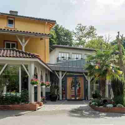 Logis Hôtel Restaurant Chez Nous Hotel Exterior