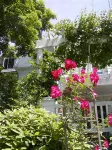 The Inn on the Horse Farm Hotels in Sudbury