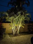 Casa Tipica! 4-bedroom tropical oasis in Merritt Island with heated pool