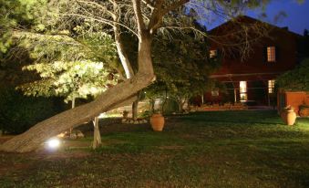 Tenuta Agricola Fonte di Papa