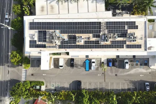 大開曼島的格羅夫33