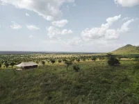 Serengeti Luxury Retreat Hôtels à : Plaine du Serengeti