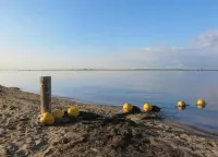 Bungalow in South Holland With Private Jetty