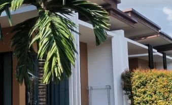 3 Tigers Resort & Hostel
