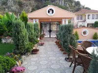 Dalyan Palace - Huvilat