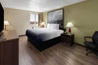 Super 8 by Wyndham Colo. Sprs. Garden of the Gods - Motel