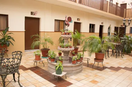 Hotel Cervantino