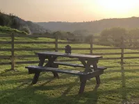 The Peacock Shepherds Hut at Hafoty Boeth Hotels in Corwen