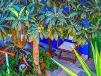 Symi Garden Studios Hotels in Symi