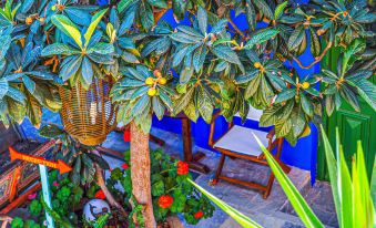 Symi Garden Studios