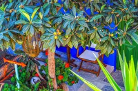 Symi Garden Studios Hotels in Simi