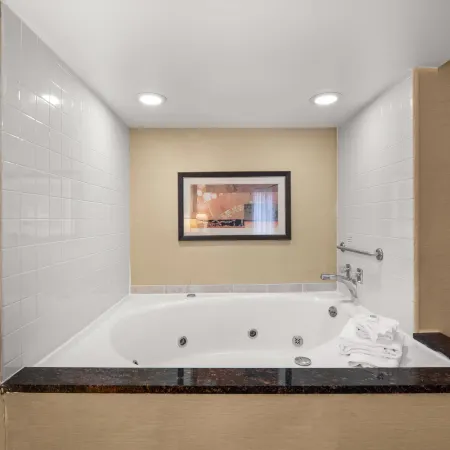Comfort Inn Metro Airport