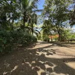 Private pool and Rancho, near Playa Pelada and Guiones Beach