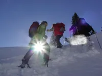 Guesthouse Ankelspitz - apartment in the basement