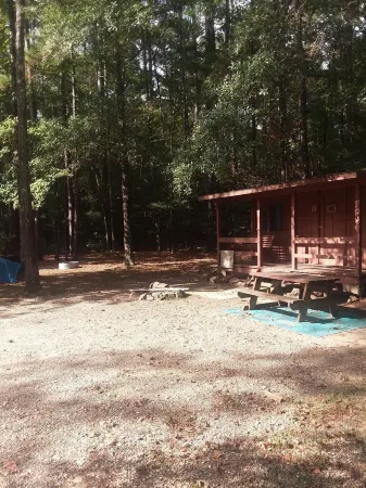 Rustic Cabin 3     . Отели в г. Мерфрисборо