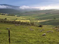 Apartment "La Magione" in the Chianti Region