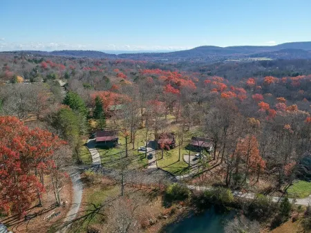 Valentine Drive Cabin 2