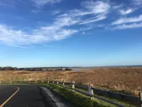 Charming Sun Filled Eastham Cottage at Fort Hill - Homestays