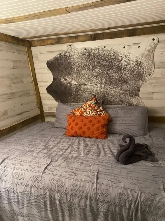 Cabin 1 Cozy cabin close to Sam Houston Park