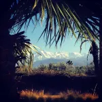 Exceptional residence surrounded by olive trees with breathtaking views of the Atlas