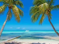 Stunning beachfront condo next to restaurant & a short drive to famous RumPoint Hotels in Rum Point