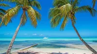 Stunning beachfront condo next to restaurant & a short drive to famous RumPoint