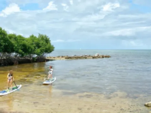 Amazing Ocean view condo โรงแรมในTavernier