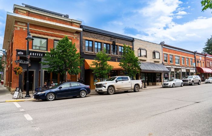 Two Bedroom Loft in Fernie's Historic Downtown
