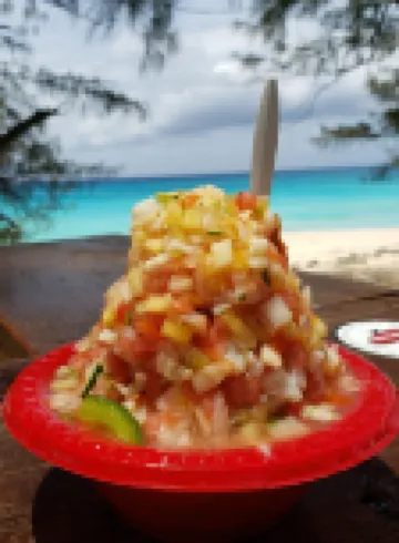 Ocean Pearl Bimini Bay Entire Condo Close to Pool with an optional golf cart