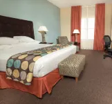 Drury Plaza Hotel San Antonio North Stone Oak Hotels near Walgreens