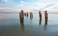 Point Lonsdale Holiday Apartments - Strand