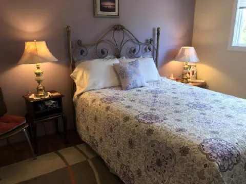 Wild Rose Bed & Breakfast فنادق في 