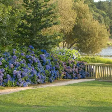 Hôtel Lancelot & Spa - Domaine du Roi Arthur Отели в г. Плоэрмель