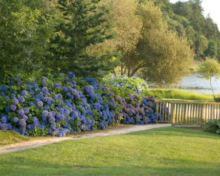 Hôtel Lancelot & Spa - Domaine du Roi Arthur Hotels in Ploermel