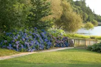 Hôtel Lancelot & Spa - Domaine du Roi Arthur Hotels in Taupont