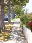 Charming Culver City Cottage w/ Shared Pool+Garden Hotel a Culver City