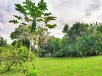 歷史悠久的希洛房子，離海灘衹有幾分鐘的路程! 鄰近Imiloa夏威夷天文中心的酒店