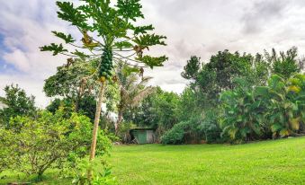 Charming Historic Hilo House Minutes to Beach!