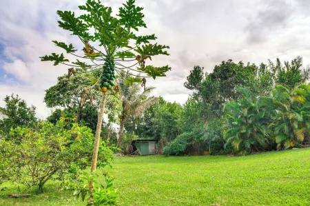 Charming Historic Hilo House Minutes to Beach!