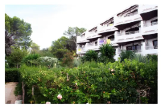 Apartamentos del Rey