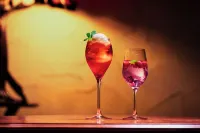 小樽城堡酒店 - 酒吧