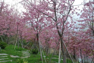 ホテル周辺 ハウステンボスの写真