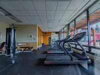 Lola’s Lodge Ski-In/Ski-Out 3 bedroom Lodge near hiking/golf Hotels in Lutsen