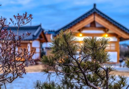 나주 스테이 중정