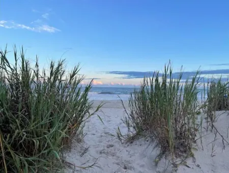 The Tipsy Turtle SSB