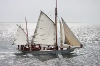 Maison à Vannes Hotels in Sene